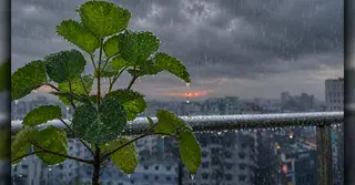 দেশের কিছু জায়গায় হতে পারে বৃষ্টি, কমতে পারে তাপমাত্রা